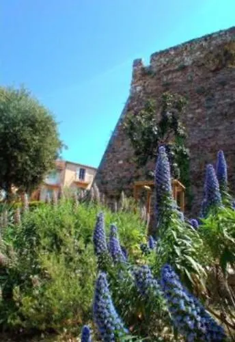 Cadre De Reve Vous Faites Le Menage- Very Good Prices But Have To Clea-n Th-e Flat Apartment Cannes